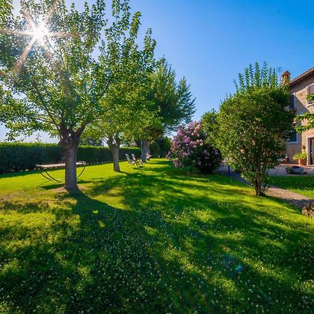 Agriturismo Palazzi Del Papa Pienza Exterior photo