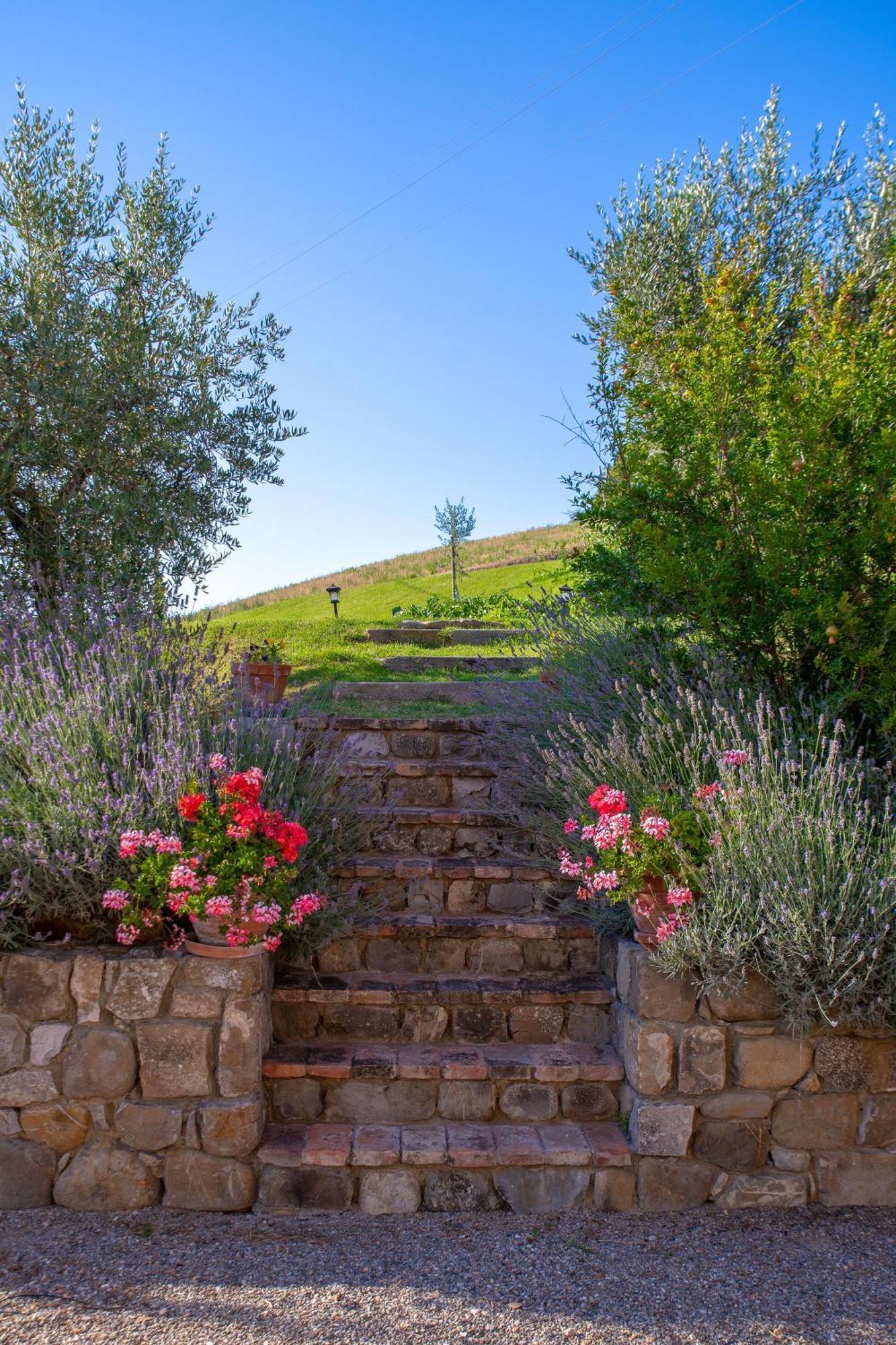 Agriturismo Palazzi Del Papa Pienza Exterior photo