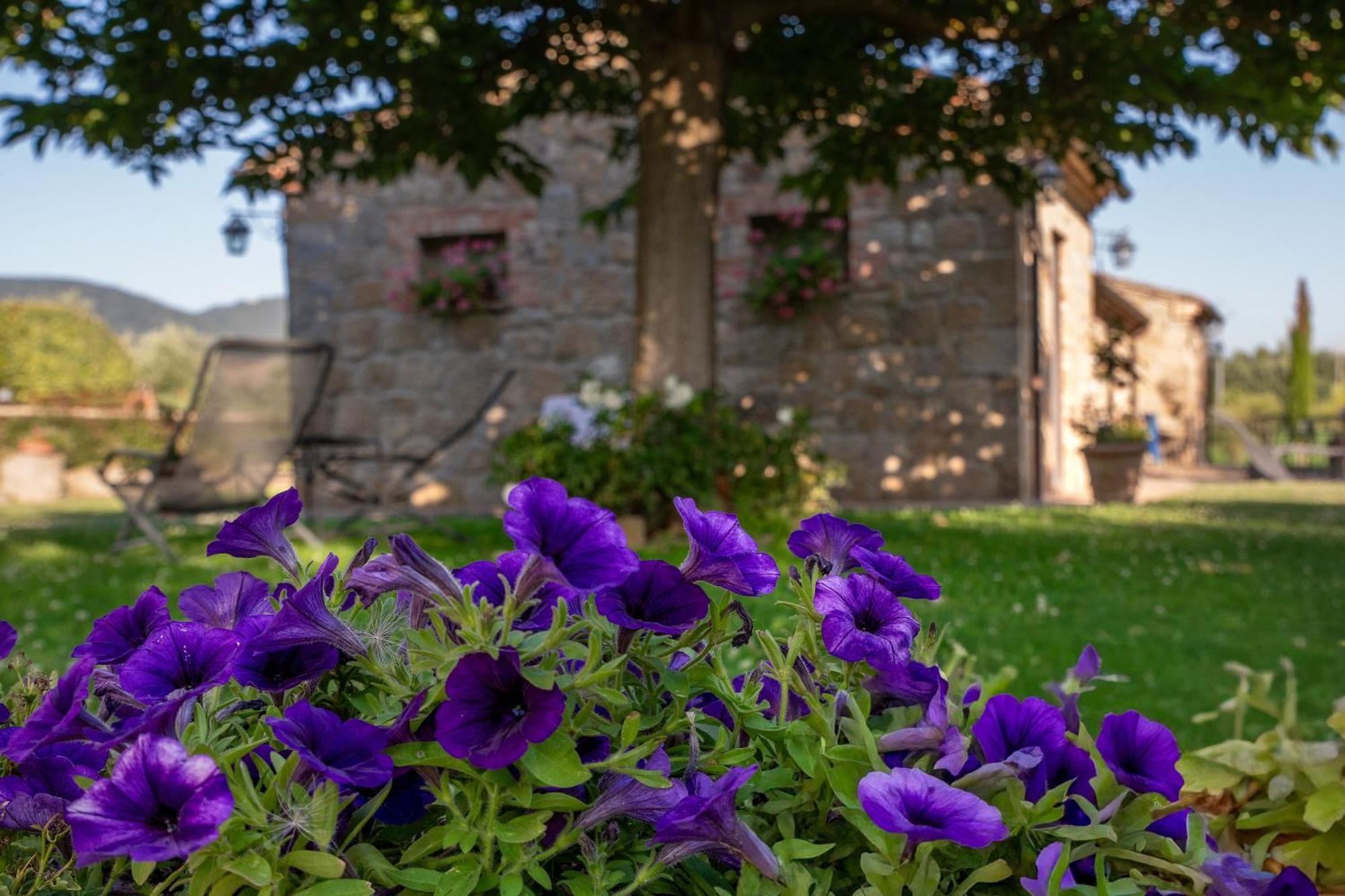 Agriturismo Palazzi Del Papa Pienza Exterior photo