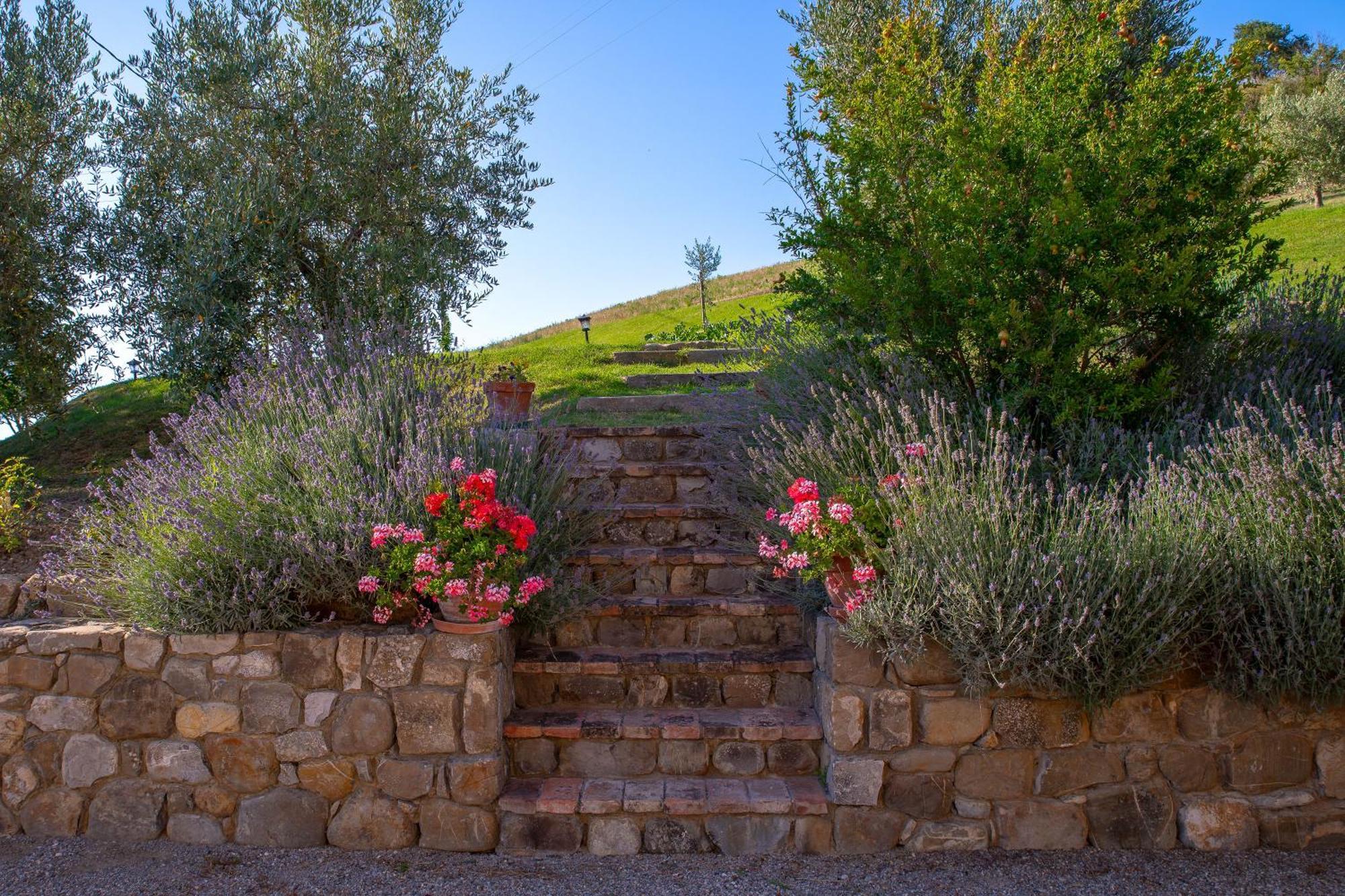 Agriturismo Palazzi Del Papa Pienza Exterior photo