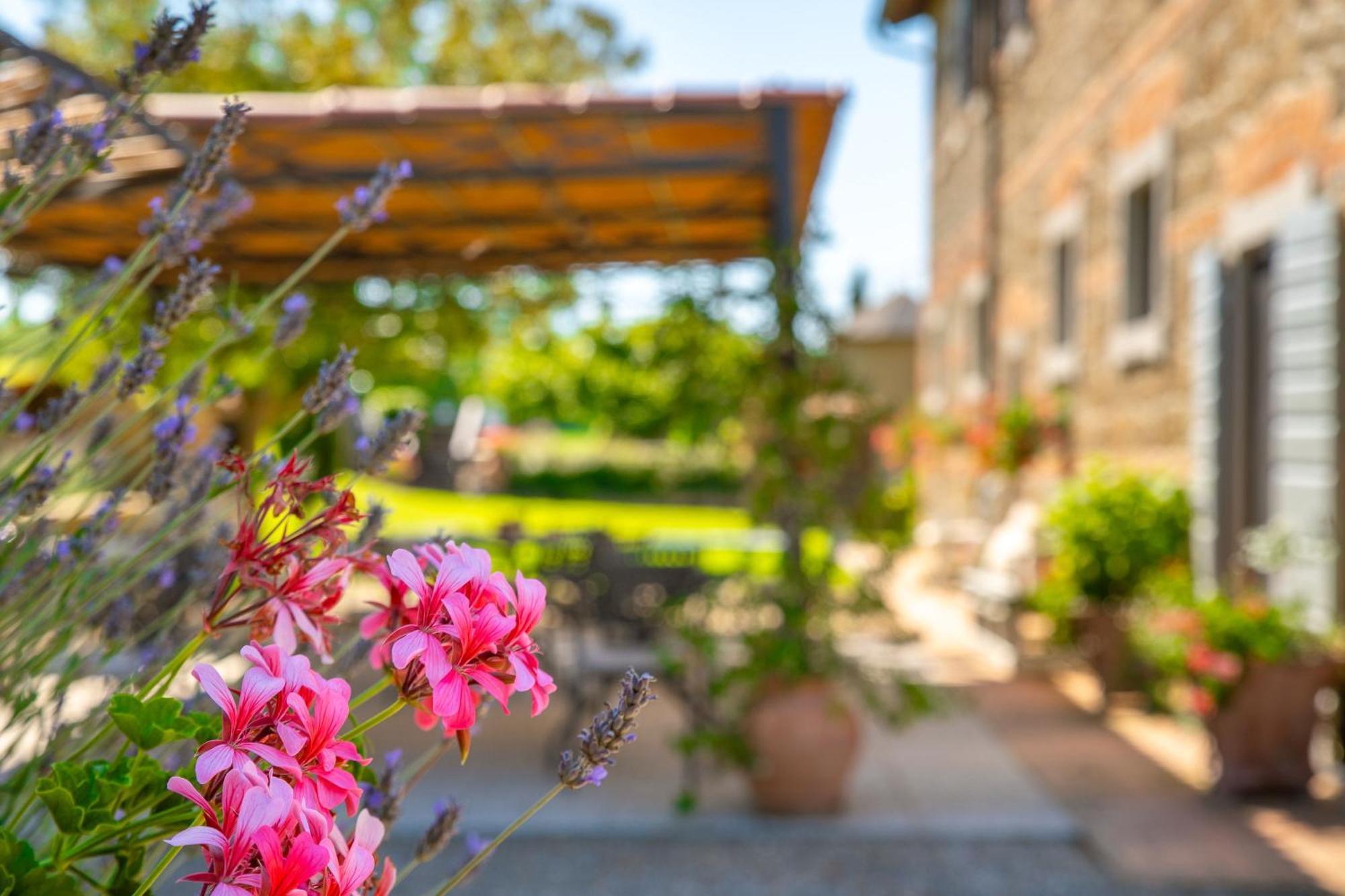 Agriturismo Palazzi Del Papa Pienza Exterior photo